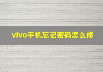 vivo手机忘记密码怎么修