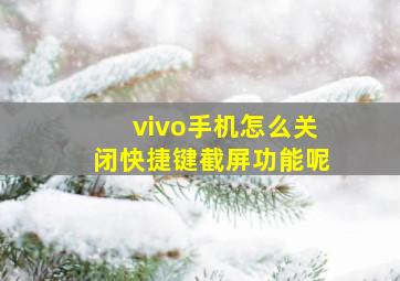 vivo手机怎么关闭快捷键截屏功能呢