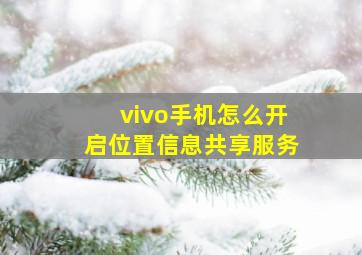 vivo手机怎么开启位置信息共享服务