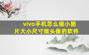 vivo手机怎么缩小图片大小尺寸做头像的软件