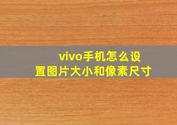 vivo手机怎么设置图片大小和像素尺寸