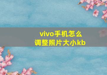 vivo手机怎么调整照片大小kb