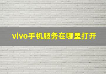 vivo手机服务在哪里打开