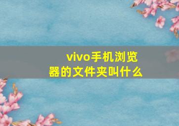 vivo手机浏览器的文件夹叫什么