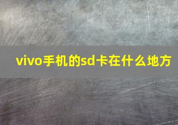 vivo手机的sd卡在什么地方