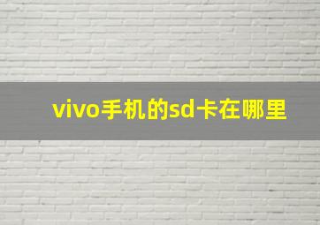 vivo手机的sd卡在哪里