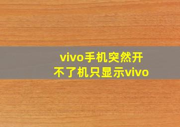 vivo手机突然开不了机只显示vivo