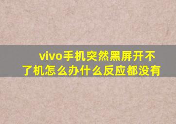 vivo手机突然黑屏开不了机怎么办什么反应都没有