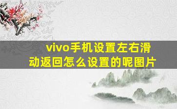 vivo手机设置左右滑动返回怎么设置的呢图片