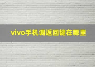 vivo手机调返回键在哪里