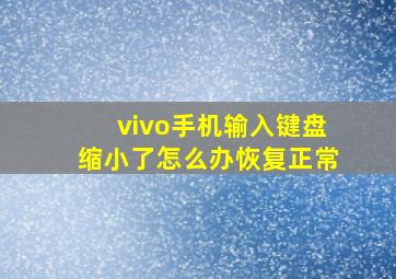 vivo手机输入键盘缩小了怎么办恢复正常