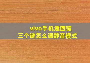 vivo手机返回键三个键怎么调静音模式