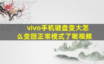 vivo手机键盘变大怎么变回正常模式了呢视频