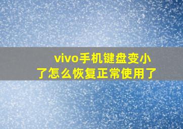 vivo手机键盘变小了怎么恢复正常使用了