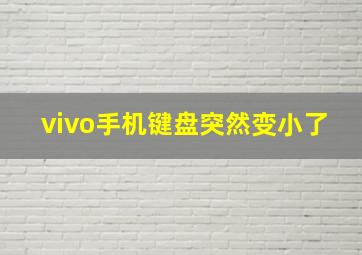 vivo手机键盘突然变小了