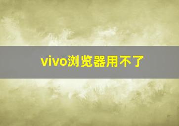 vivo浏览器用不了