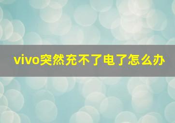 vivo突然充不了电了怎么办