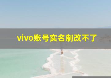 vivo账号实名制改不了