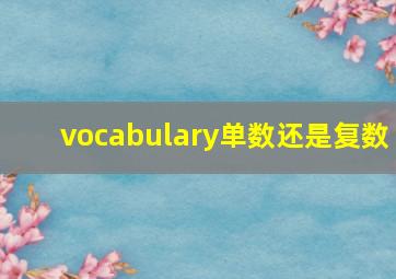 vocabulary单数还是复数