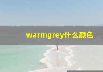 warmgrey什么颜色