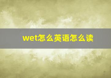 wet怎么英语怎么读