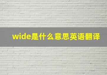 wide是什么意思英语翻译