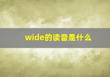 wide的读音是什么