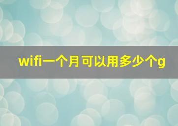 wifi一个月可以用多少个g