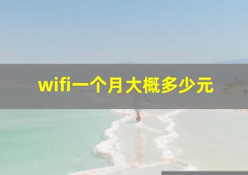 wifi一个月大概多少元