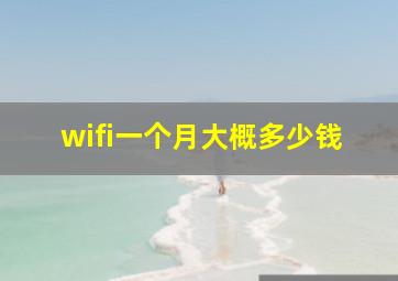 wifi一个月大概多少钱