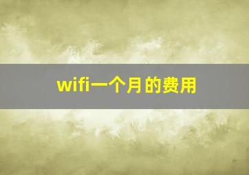 wifi一个月的费用