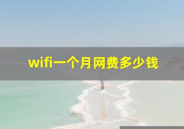 wifi一个月网费多少钱