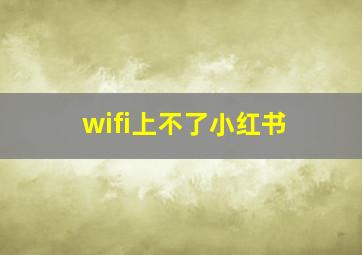 wifi上不了小红书