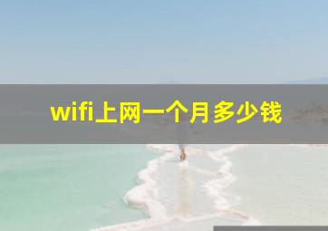 wifi上网一个月多少钱