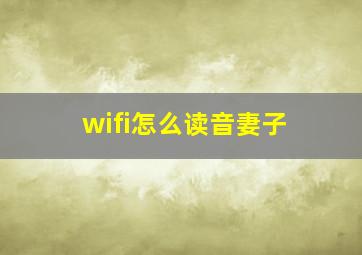 wifi怎么读音妻子