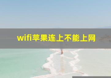 wifi苹果连上不能上网