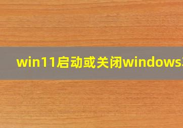 win11启动或关闭windows功能