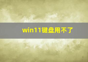 win11键盘用不了