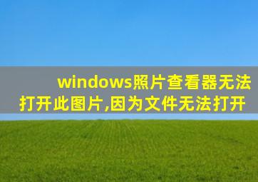 windows照片查看器无法打开此图片,因为文件无法打开