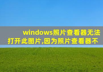 windows照片查看器无法打开此图片,因为照片查看器不