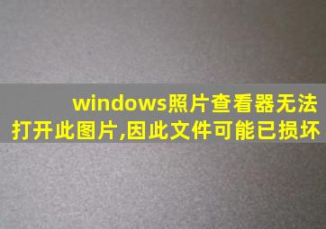 windows照片查看器无法打开此图片,因此文件可能已损坏