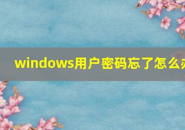 windows用户密码忘了怎么办