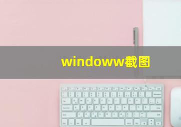 windoww截图