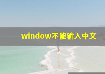 window不能输入中文