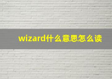 wizard什么意思怎么读