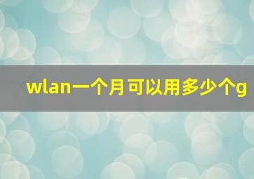 wlan一个月可以用多少个g