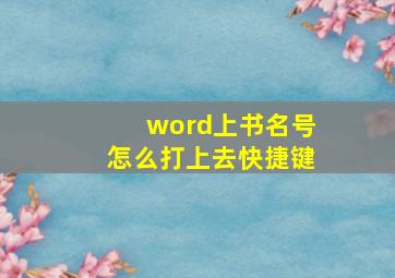 word上书名号怎么打上去快捷键