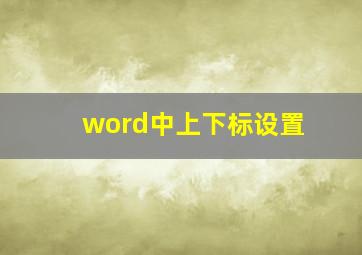 word中上下标设置