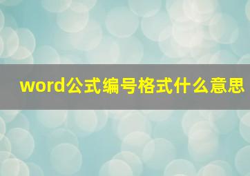 word公式编号格式什么意思