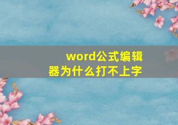 word公式编辑器为什么打不上字